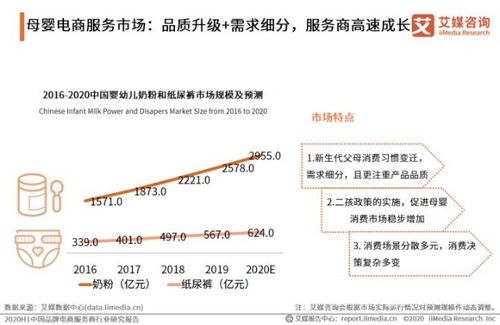 艾媒咨询2020H1中国品牌电商服务商行业研究报告